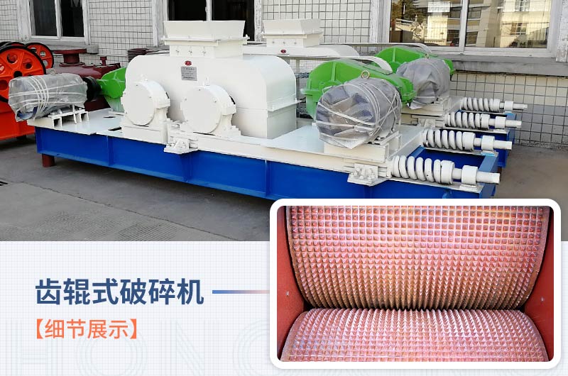 齒輥式破碎機細節展示 齒輥式破碎機細節展示
